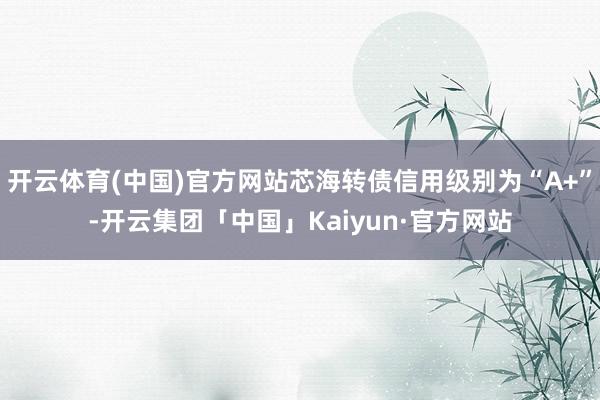 开云体育(中国)官方网站芯海转债信用级别为“A+”-开云集团「中国」Kaiyun·官方网站