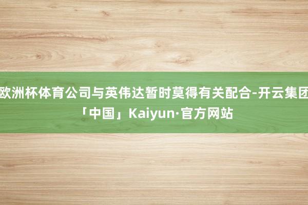 欧洲杯体育公司与英伟达暂时莫得有关配合-开云集团「中国」Kaiyun·官方网站