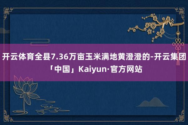 开云体育全县7.36万亩玉米满地黄澄澄的-开云集团「中国」Kaiyun·官方网站