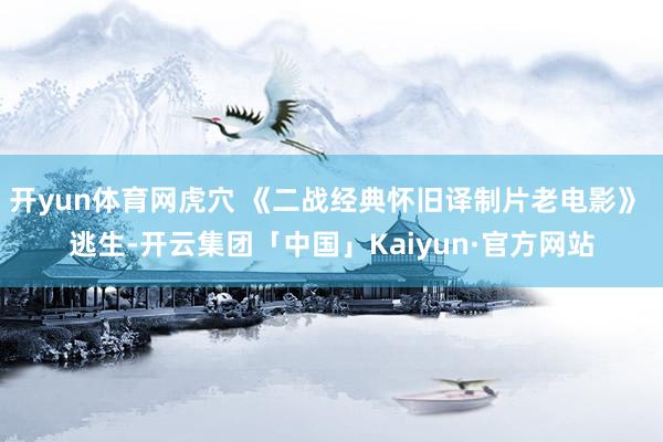 开yun体育网虎穴 《二战经典怀旧译制片老电影》 逃生-开云集团「中国」Kaiyun·官方网站