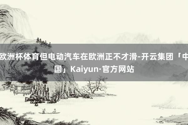 欧洲杯体育但电动汽车在欧洲正不才滑-开云集团「中国」Kaiyun·官方网站