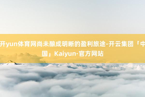 开yun体育网尚未酿成明晰的盈利旅途-开云集团「中国」Kaiyun·官方网站