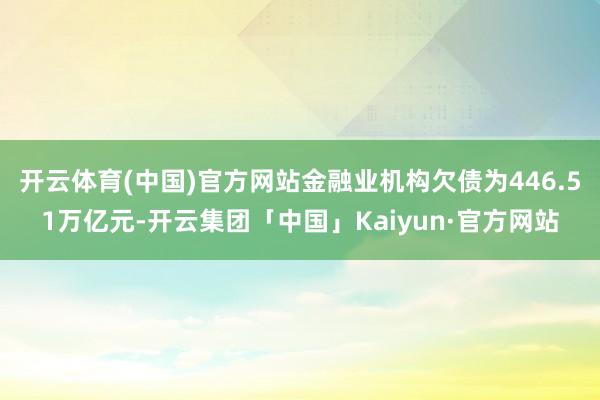 开云体育(中国)官方网站金融业机构欠债为446.51万亿元-开云集团「中国」Kaiyun·官方网站