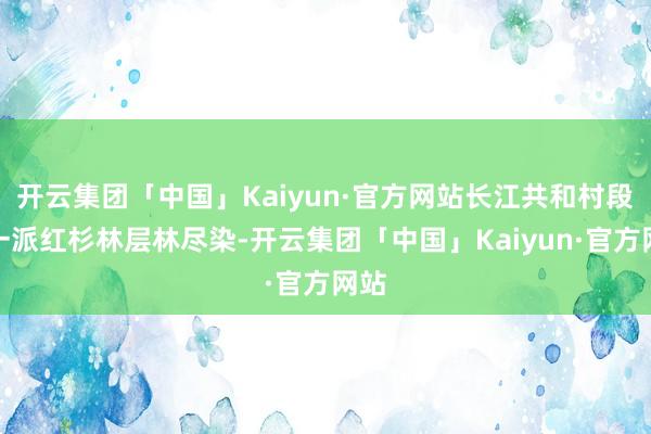 开云集团「中国」Kaiyun·官方网站长江共和村段的一派红杉林层林尽染-开云集团「中国」Kaiyun