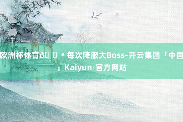 欧洲杯体育💪 每次降服大Boss-开云集团「中国」Kaiyun·官方网站